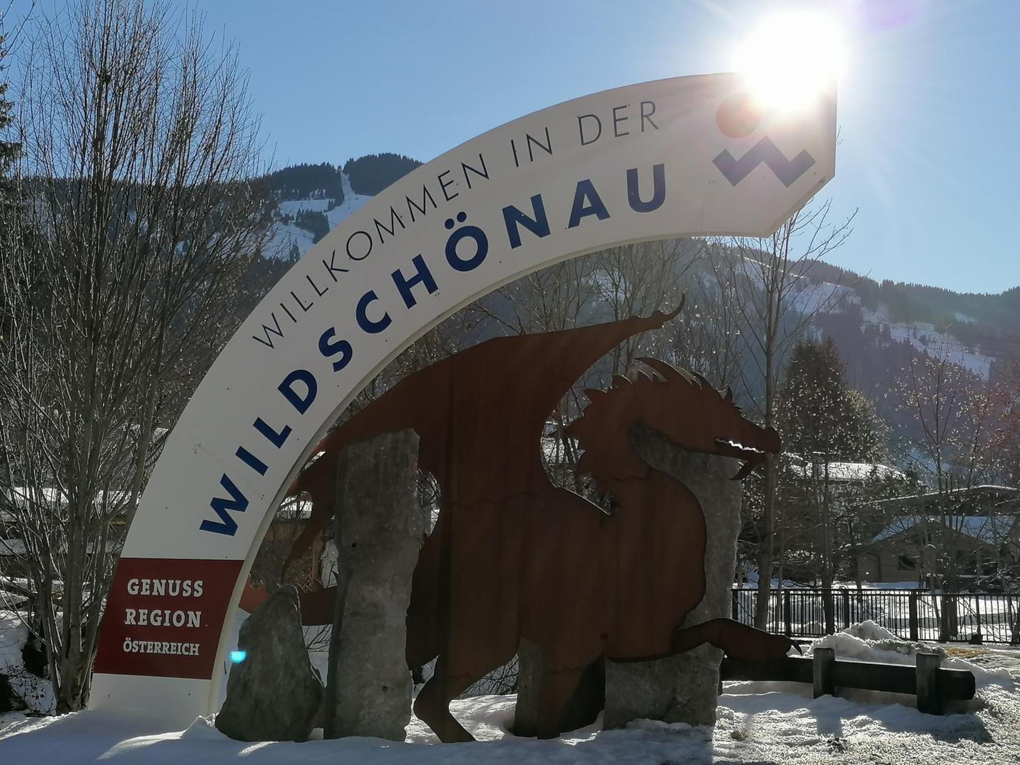 Ferienwohnung Sonnhangblick Von Fewo-Plan Wild015 Niederau Exterior foto